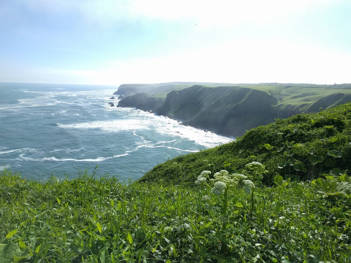 🔭 비와세 전망대(비와세 텐보다이) 이미지 5